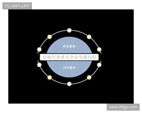 福建浔兴股份与行业竞争者对阵：市场表现与未来发展潜力分析