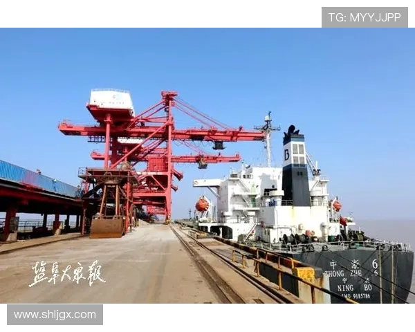 盐城大丰港战队全力冲刺打造国内一流水上竞技平台推动地区体育产业腾飞 盐城大丰港战队全力冲刺打造国内一流水上竞技平台推动地区体育产业腾飞
