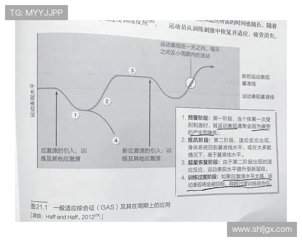 全方位提升运动表现的秘诀 如何通过科学训练和饮食优化身体健康
