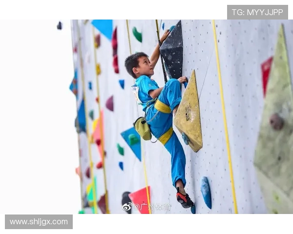 广州攀岩队区域防守体系解析与战术应用探讨