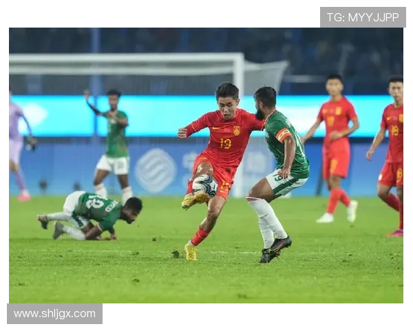 杭州足球队实力强劲荣登全国足球力量排行榜第十位