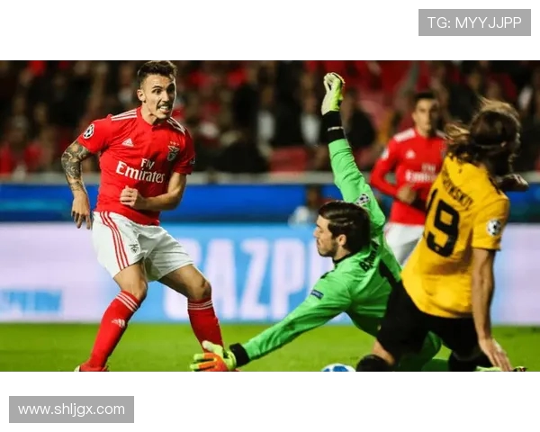 本菲卡强势迎战豪门对手 展现顶级实力全力冲击欧洲舞台