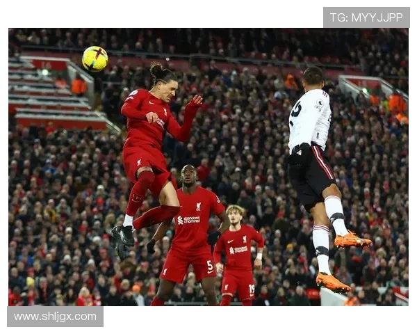 努涅斯在足球赛场上的崛起与挑战探讨