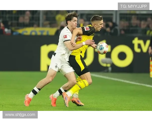 多特蒙德与门兴精彩对决比赛视频回顾及精彩瞬间分析